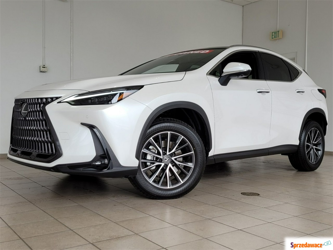 Lexus NX 2024
