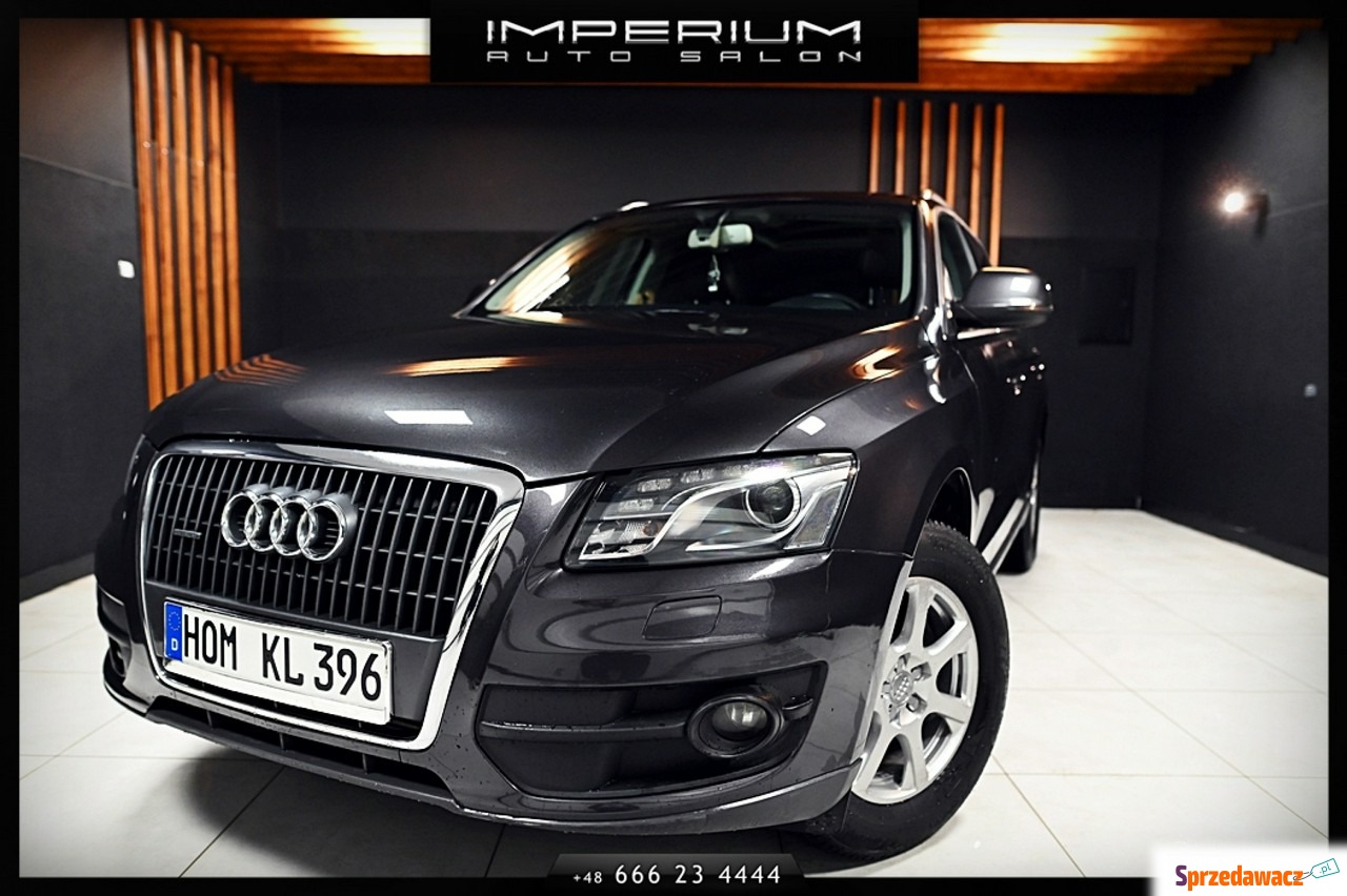 Audi Q5 2010