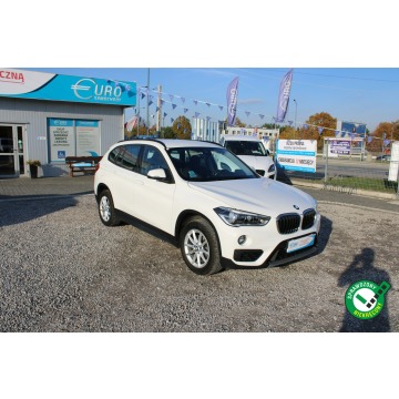 BMW X1 - F-Vat,Salon Polska,Gwarancja,I-właściciel,Automat,Czuj.Parkowa