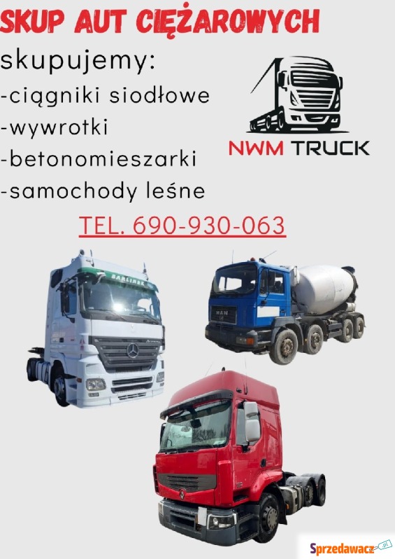 Skup aut ciężarowych - Usługi motoryzacyjne - Zielona Góra