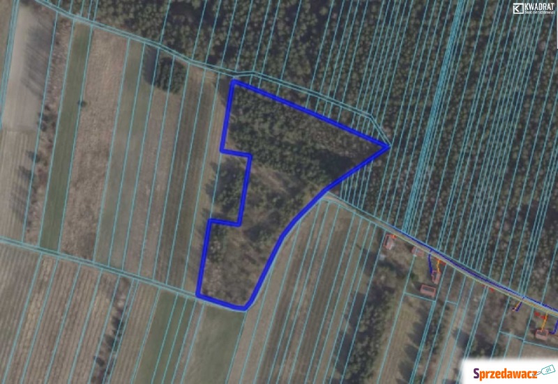 Działka rolna pod Józefowem - 1,33 ha - Działki na sprzedaż - Bór