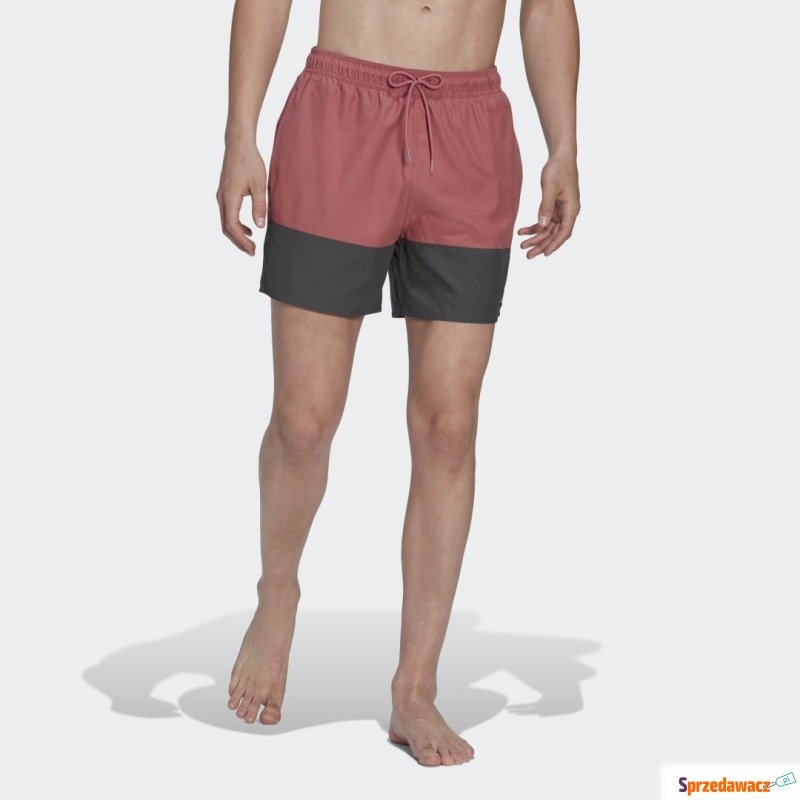 Colorblock Swim Shorts Short Length - Stroje kąpielowe - Elbląg