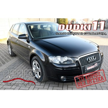 Audi A3 - 1,6MPI DUDKI11 Klimatr 2 str.El.szyby.kredyt.Tempomat,Hak