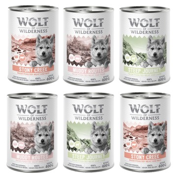 Pakiet mieszany Wolf of Wilderness JUNIOR  - 6 x 400 g: 2x drób z wołowiną, 2x drób z jagnięciną, 2x