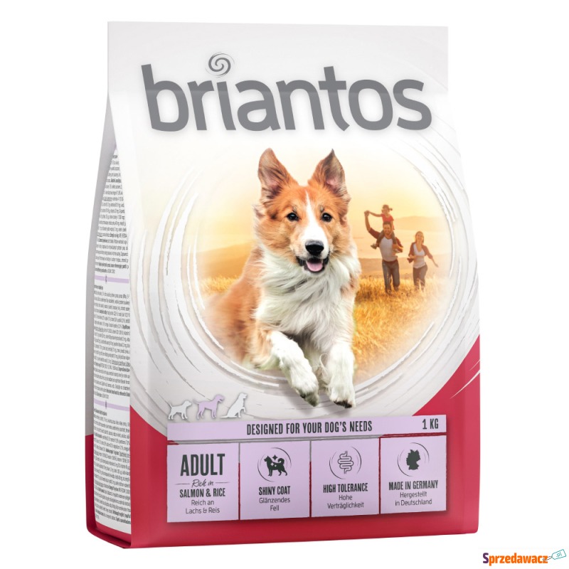 Briantos Adult, łosoś & ryż - 1 kg - Karmy dla psów - Siemysłów