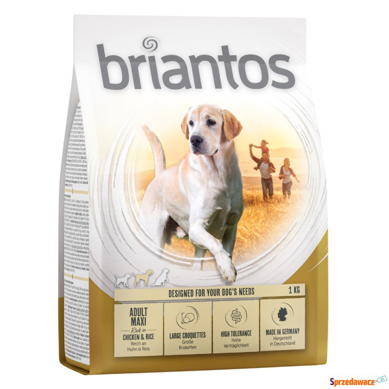 Briantos Adult Maxi - 4 x 1 kg - Karmy dla psów - Rybnik