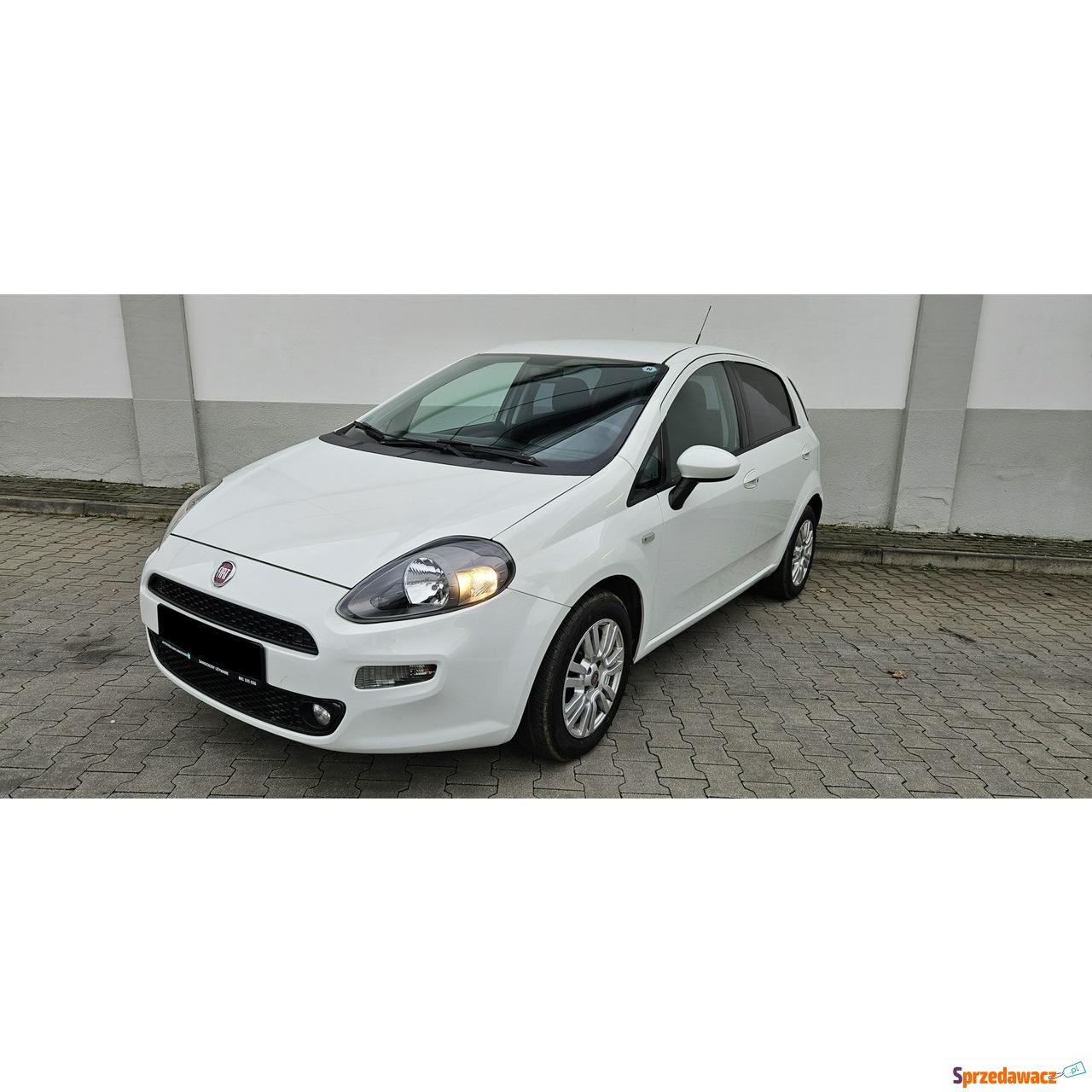 Fiat Punto Evo 2013