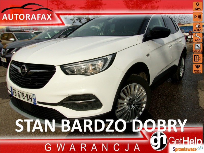 Opel Grandland X  SUV 2017,  1.2 benzyna - Na sprzedaż za 61 900 zł - Cieszyn
