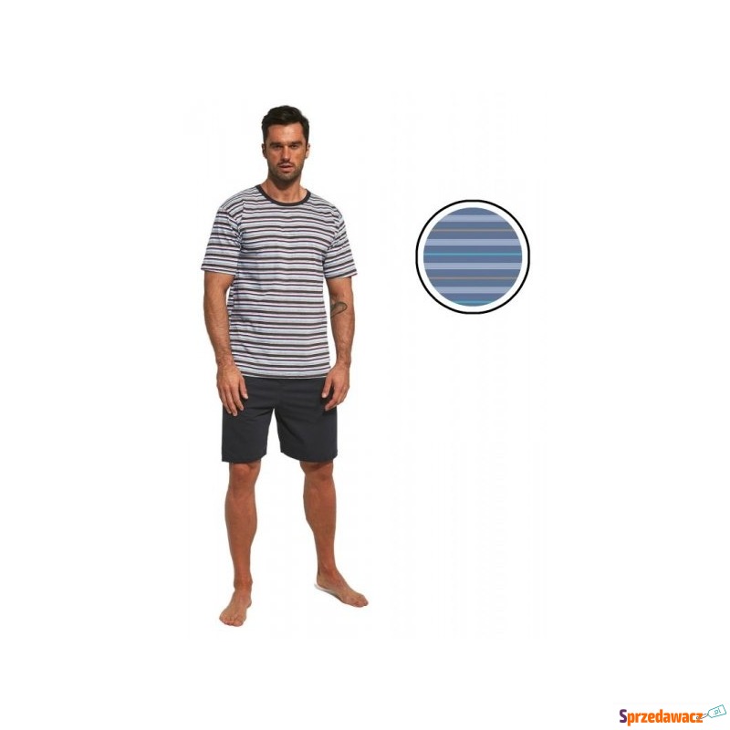 Piżama męska Cornette Various 338/43