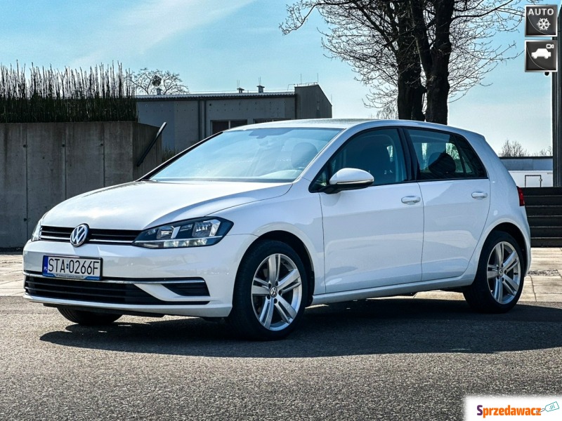 Volkswagen Golf  Hatchback 2019,  1.4 benzyna - Na sprzedaż za 64 500 zł - Tarnowskie Góry