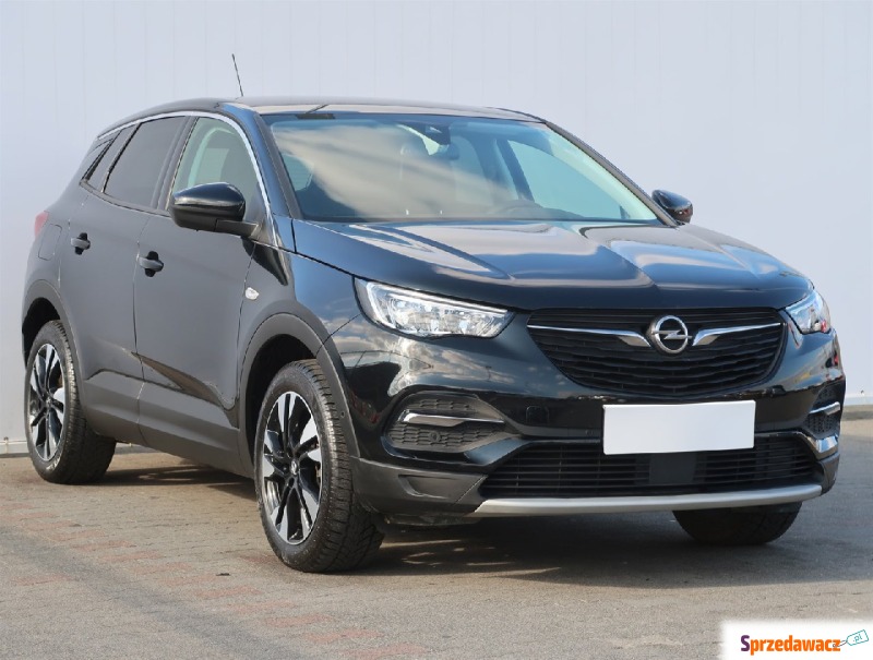 Opel   SUV 2021,  1.2 benzyna - Na sprzedaż za 91 999 zł - Bielany Wrocławskie