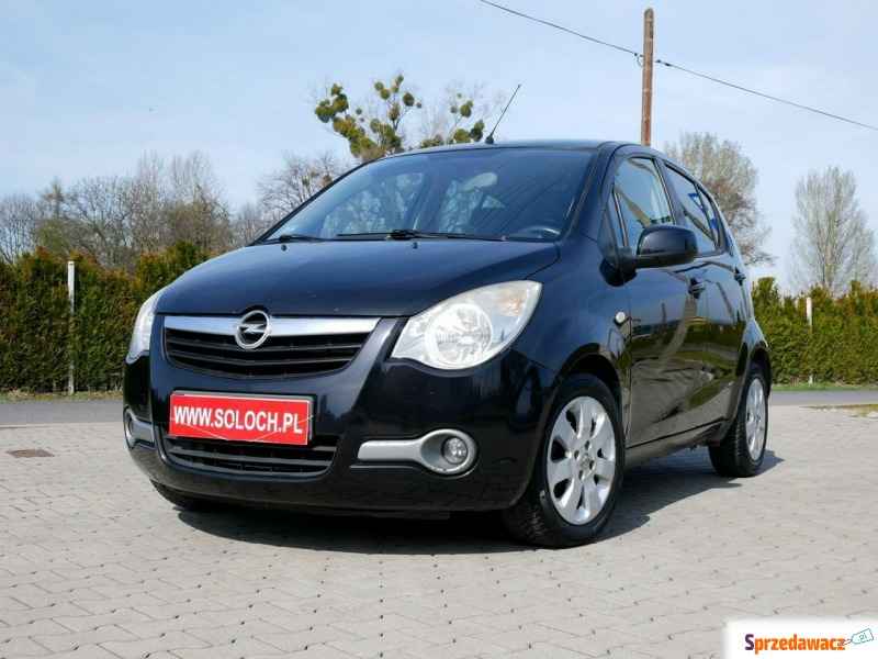 Opel Agila  Hatchback 2008,  1.3 benzyna - Na sprzedaż za 14 500 zł - Goczałkowice-Zdrój