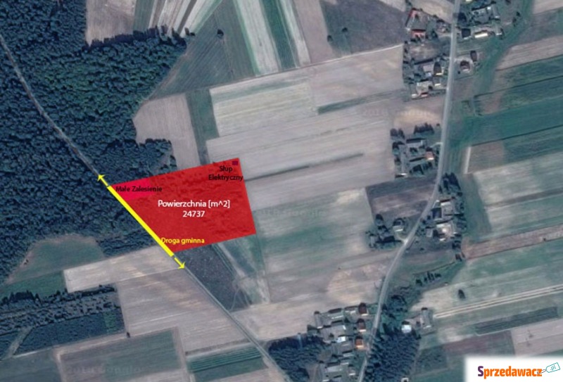 Działka rolna Grabów Rycki sprzedam, pow. 24 737 m2  (2.47ha), uzbrojona