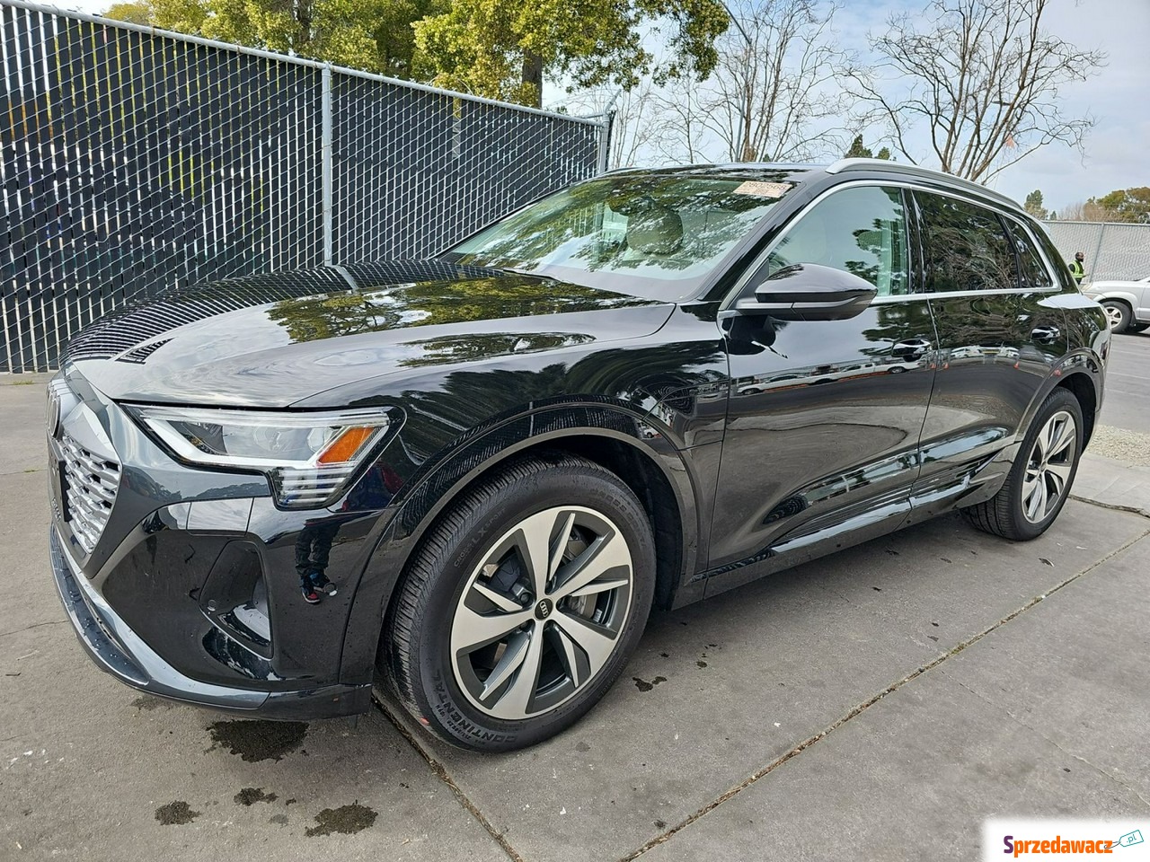 Audi Q8 2024