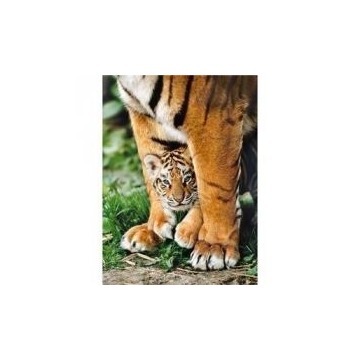  Puzzle 500 el. High Quality Collection. Tygrys bengalski Clementoni