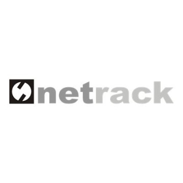 NETRACK ECO-Line Rack 19inch 4U/450mm - black glass door