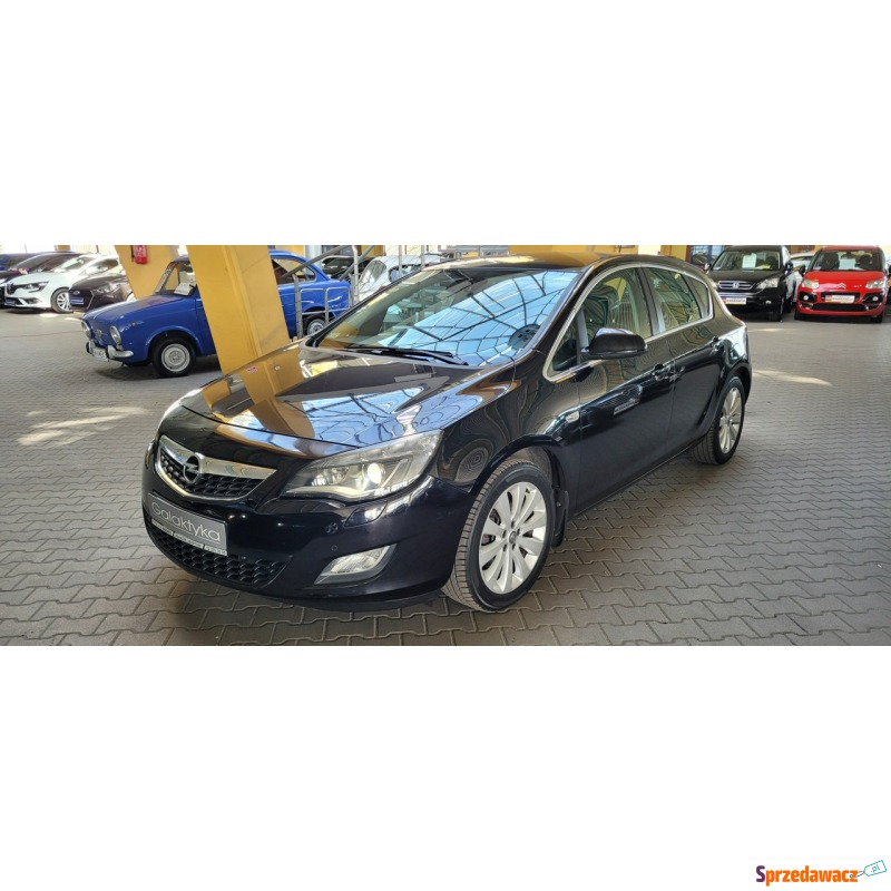 Opel Astra  Hatchback 2010,  1.6 benzyna - Na sprzedaż za 31 500 zł - Mysłowice