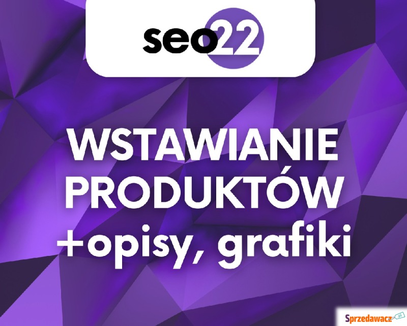 Wstawianie produktów do sklepu internetowego /... - Usługi graficzne, Internet - Warszawa