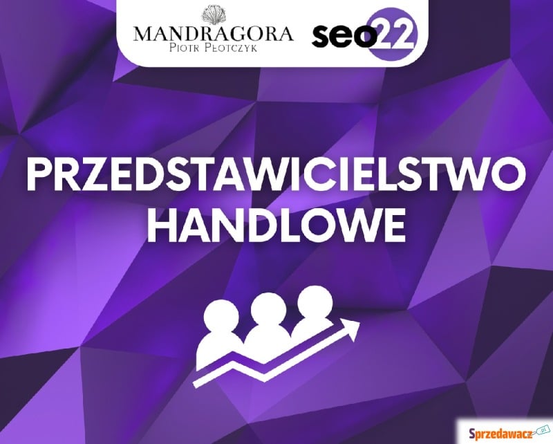 Przedstawiciel handlowy - specjalista ds. mar... - Usługi biznesowe - Warszawa