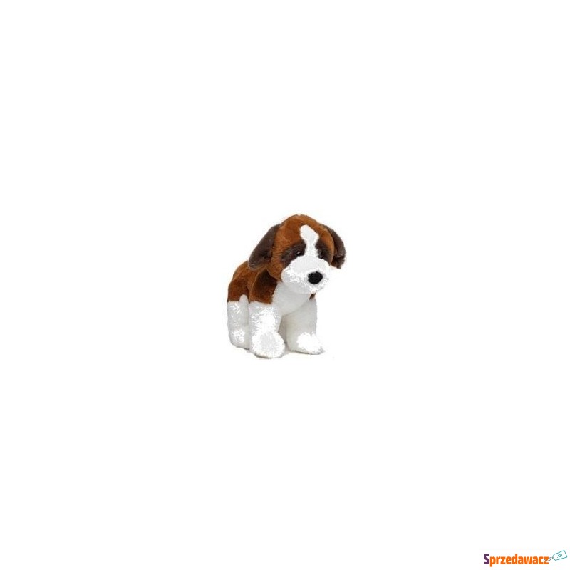 Pies bernardyn 30 cm Molli Toys - Maskotki i przytulanki - Konin