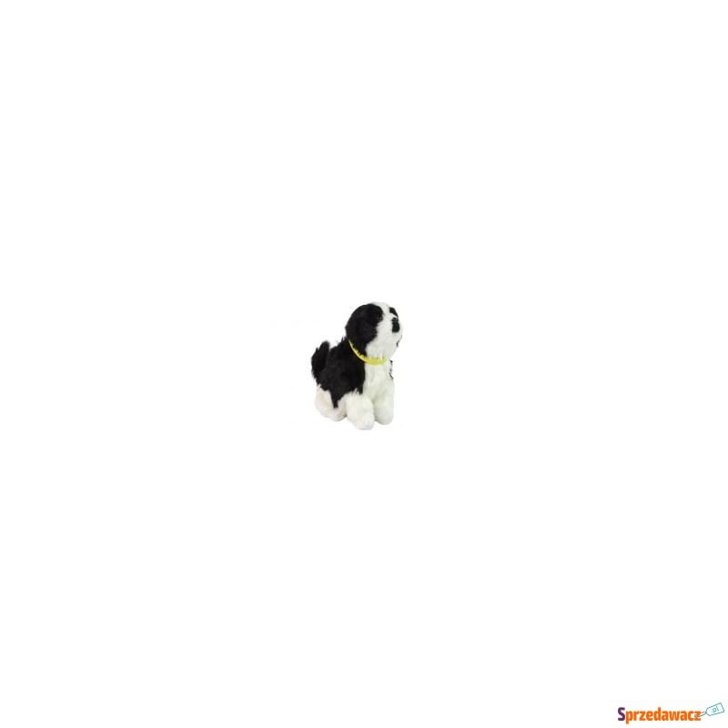  Pies interaktywny pluszowy Border Collie Leantoys - Maskotki i przytulanki - Jelenia Góra