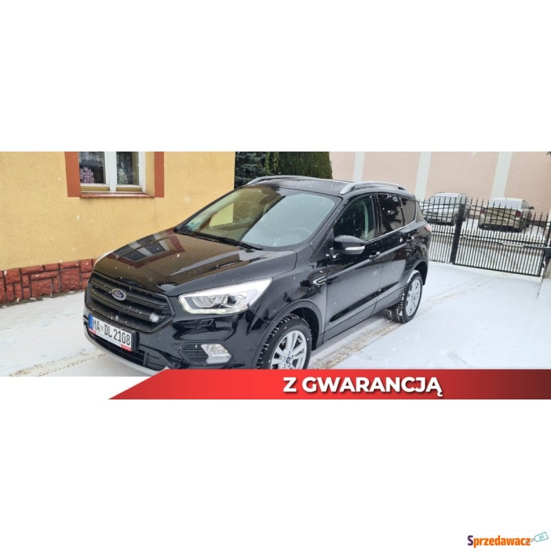 Ford Kuga  SUV 2019,  1.5 benzyna - Na sprzedaż za 96 000 zł - Biała Podlaska
