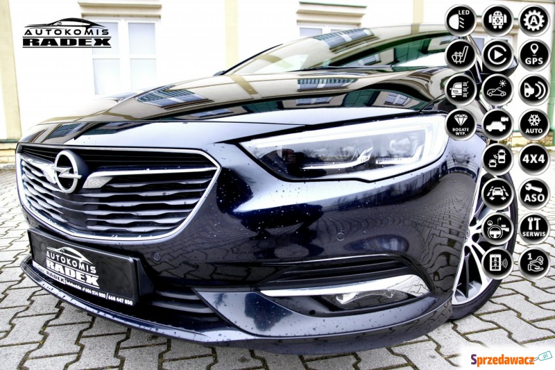 Opel Insignia 2017,  2.0 benzyna - Na sprzedaż za 69 999 zł - Świebodzin