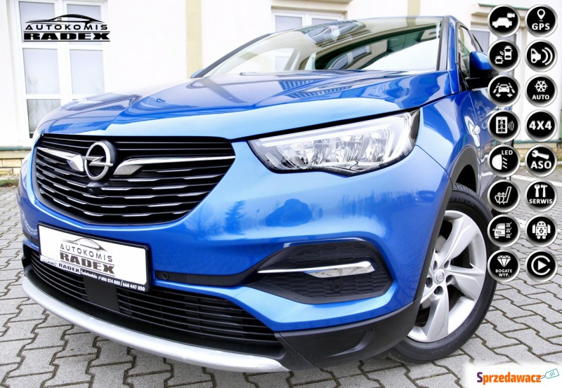 Opel Grandland X  SUV 2021,  1.5 diesel - Na sprzedaż za 96 999 zł - Świebodzin