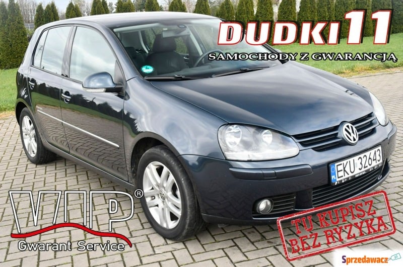 Volkswagen Golf  Hatchback 2008,  1.6 benzyna - Na sprzedaż za 17 900 zł - Kutno