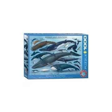  Puzzle 1000 el. Wieloryby i delfiny Eurographics