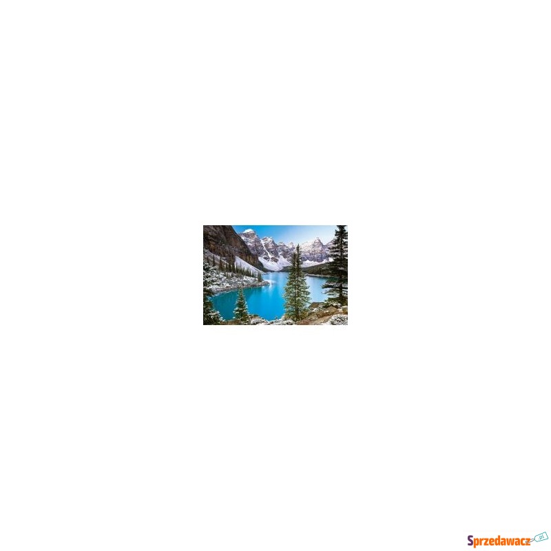 Puzzle 1000 el. Kanadyjskie jezioro Castorland - Puzzle - Nysa