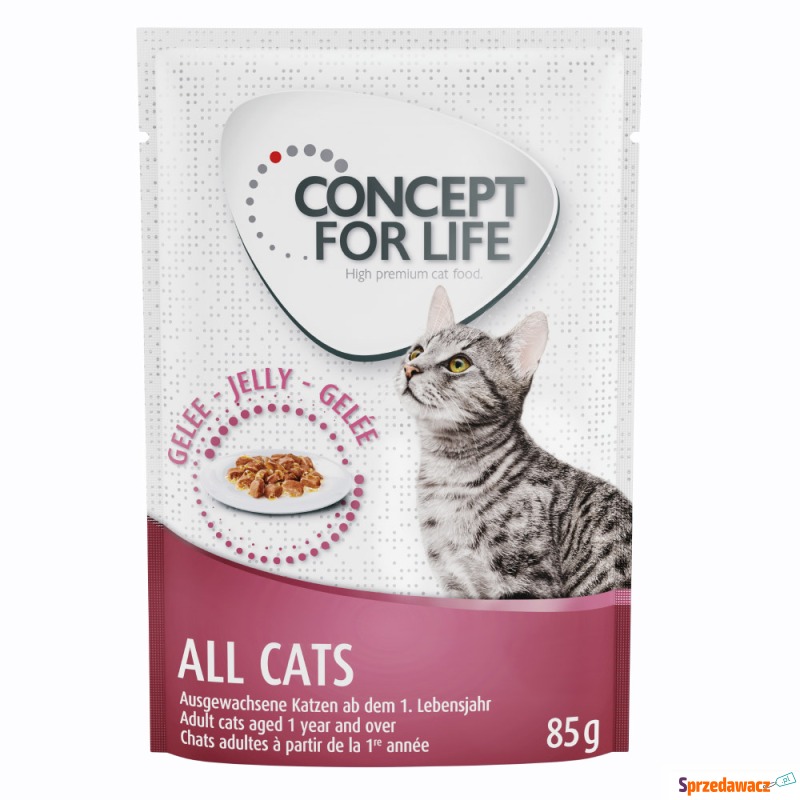 Concept for Life All Cats w galarecie - 24 x 85... - Karmy dla kotów - Bielsko-Biała
