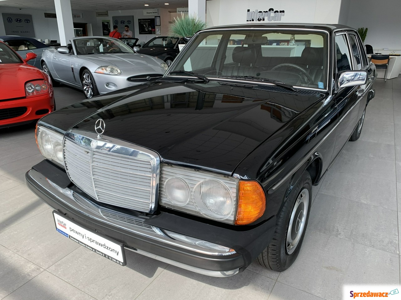 Mercedes - Benz W123 1981