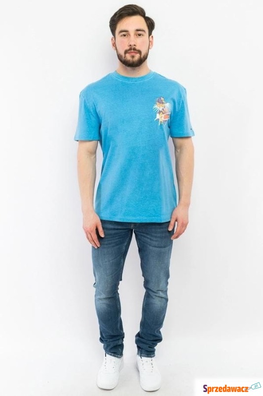 
T-shirt męski Tommy Jeans DM0DM10895 niebieski - Koszulki męskie - Słupsk