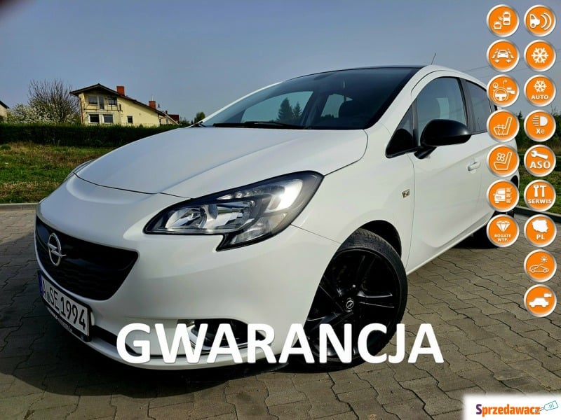 Opel Corsa  Hatchback 2016,  1.3 diesel - Na sprzedaż za 28 900 zł - Grudziądz