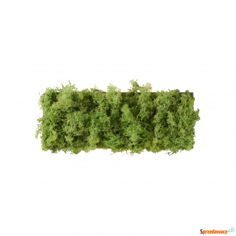 Kinkiet GREEN CARL 15637-66