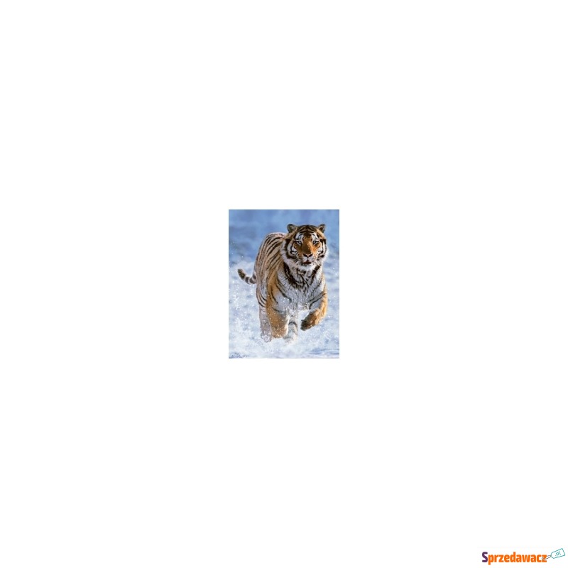  Puzzle 500 el. Tygrys w śniegu Ravensburger - Puzzle - Poznań