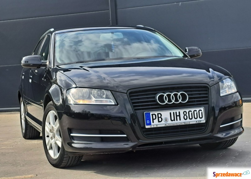 Audi A3  Hatchback 2010,  1.6 benzyna - Na sprzedaż za 38 900 zł - Olsztyn