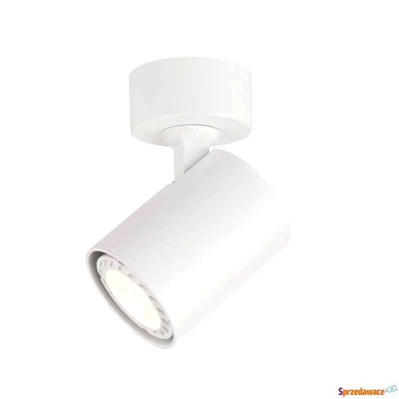 Spot Lumsi SPL-2071-1-MC-WH