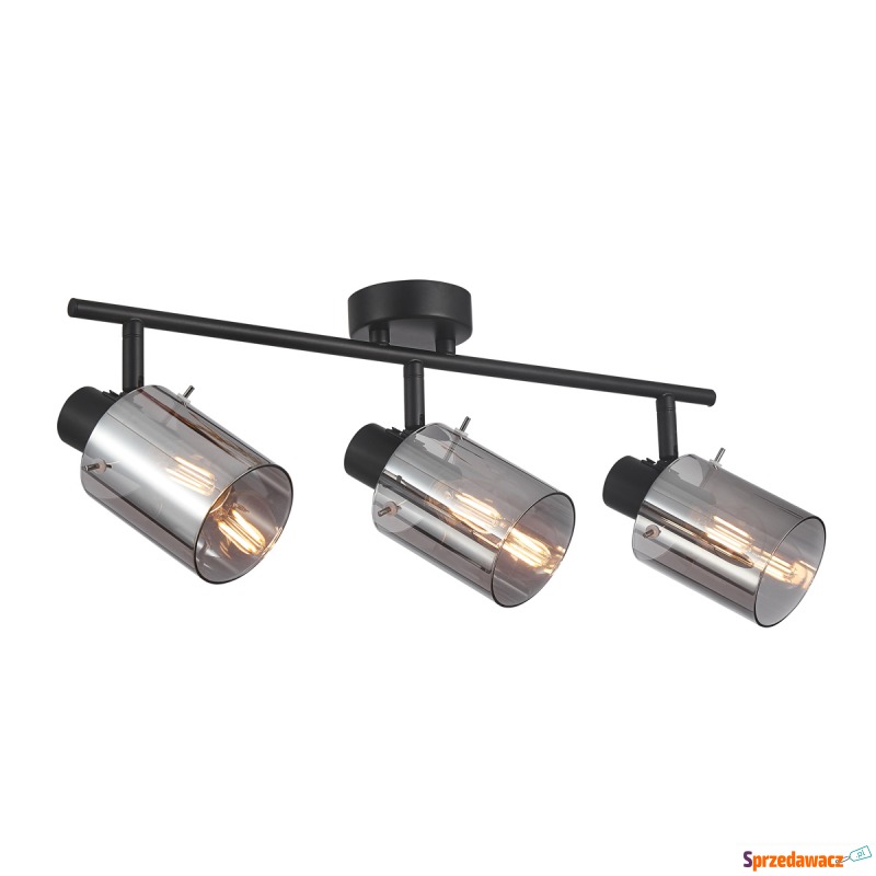 Spot Sardo SPL-5581-3-BK-SG