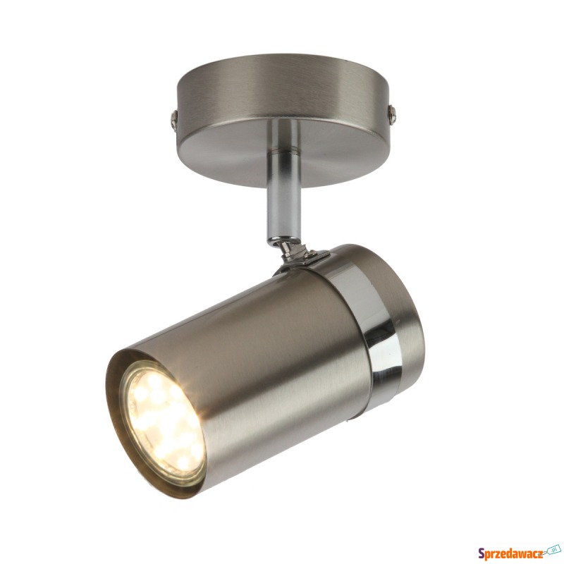 Spot Palmoni SPL-2024-1