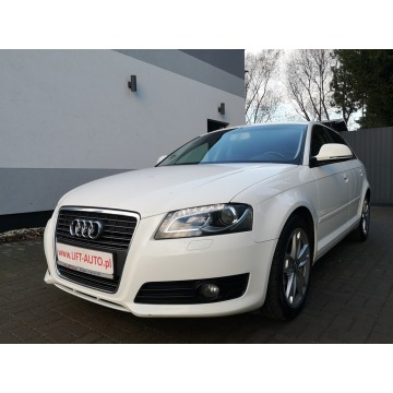 Audi A3 2009,  2.0 diesel - Na sprzedaż za 34 900 zł - Strzegom - zdjęcie 1