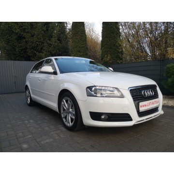 Audi A3 2009,  2.0 diesel - Na sprzedaż za 34 900 zł - Strzegom - zdjęcie 3