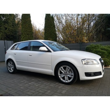 Audi A3 2009,  2.0 diesel - Na sprzedaż za 34 900 zł - Strzegom - zdjęcie 4