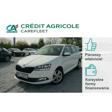 Škoda Fabia - 1.0 TSI/95KM Ambition Salon PL Fvat 23% WX1602C