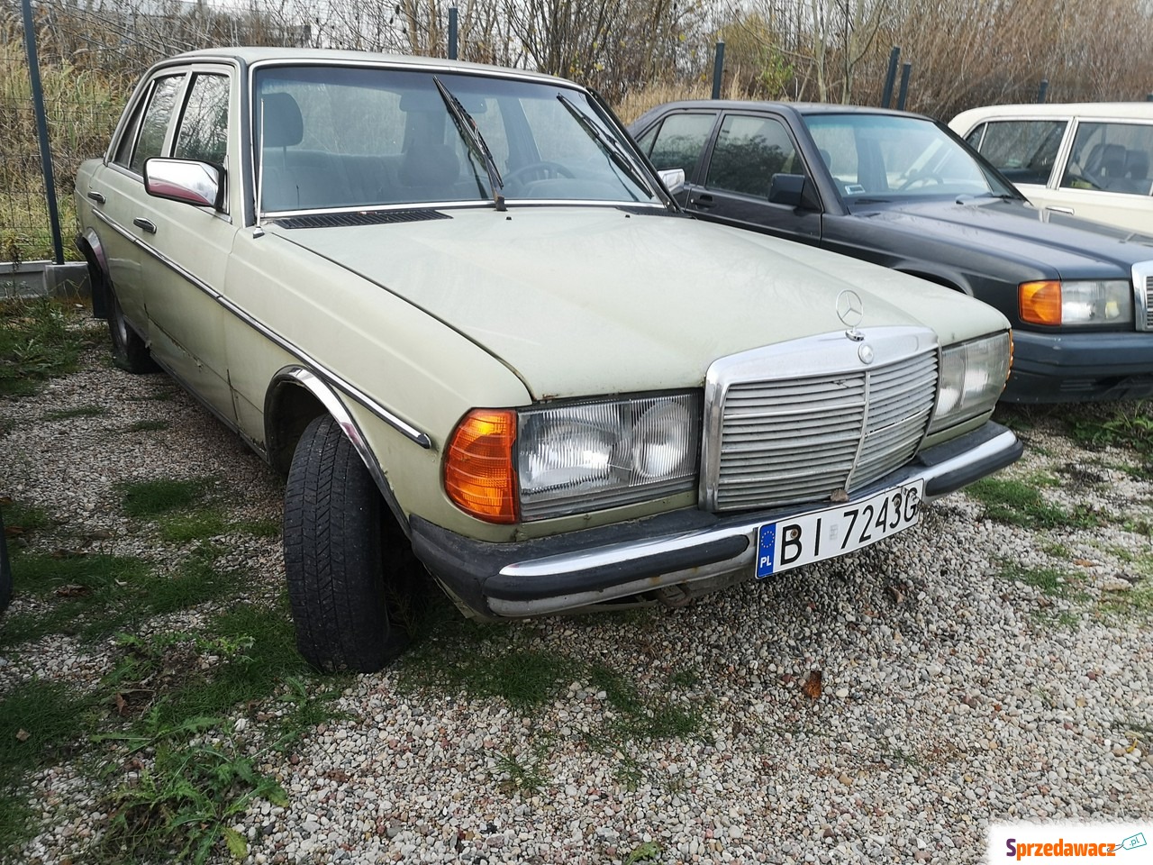 Mercedes - Benz W123 1985