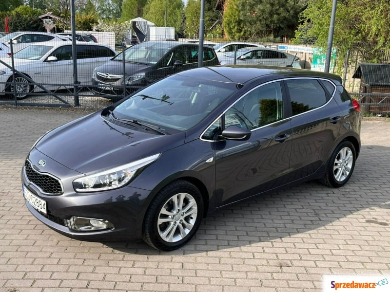 Kia Ceed  Hatchback 2014,  1.4 benzyna - Na sprzedaż za 39 900 zł - Zduńska Wola