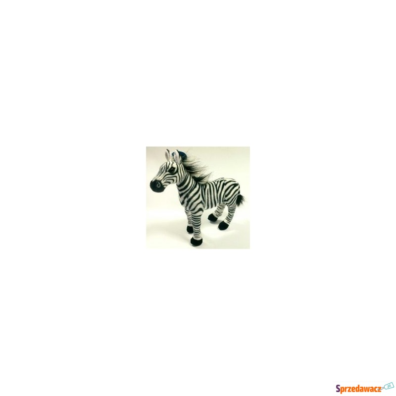  Zebra 30cm Dubi - Maskotki i przytulanki - Elbląg