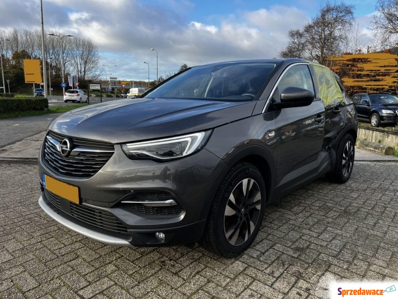 Opel Grandland X  SUV 2020,  1.2 - Na sprzedaż za 68 000 zł - Malutkie