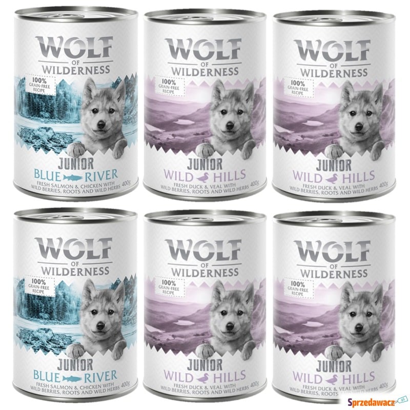 Pakiet mieszany Wolf of Wilderness JUNIOR  - 6... - Karmy dla psów - Radom